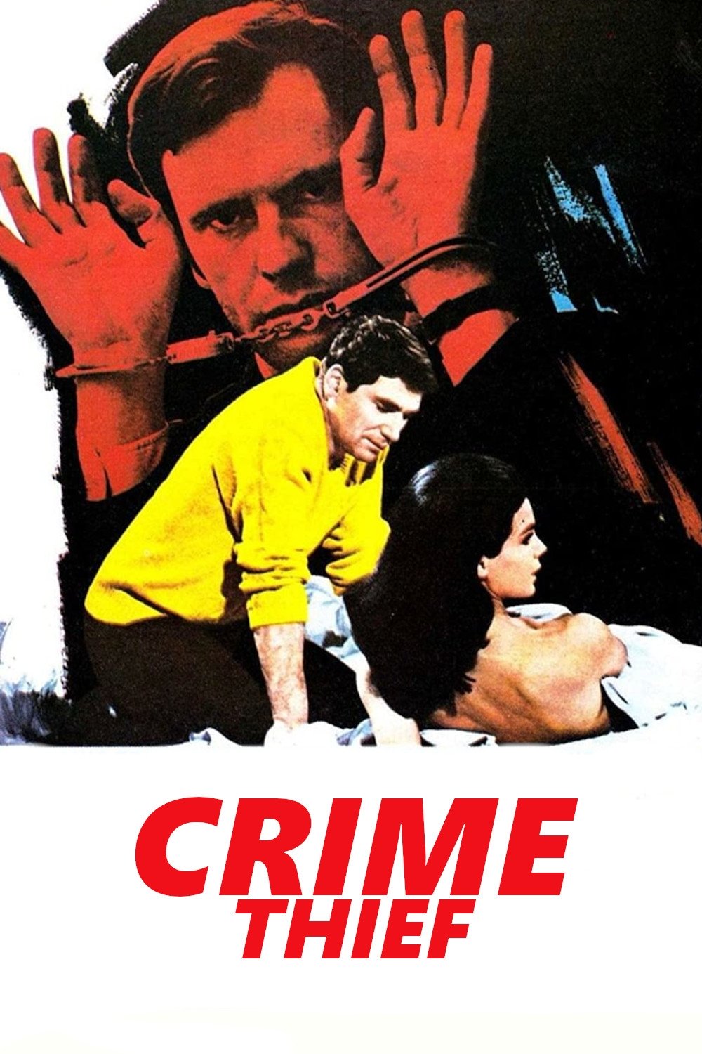 Постер Le Voleur de crimes